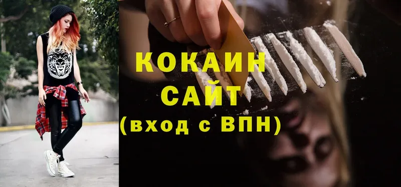 блэк спрут вход  Камышин  Кокаин FishScale 